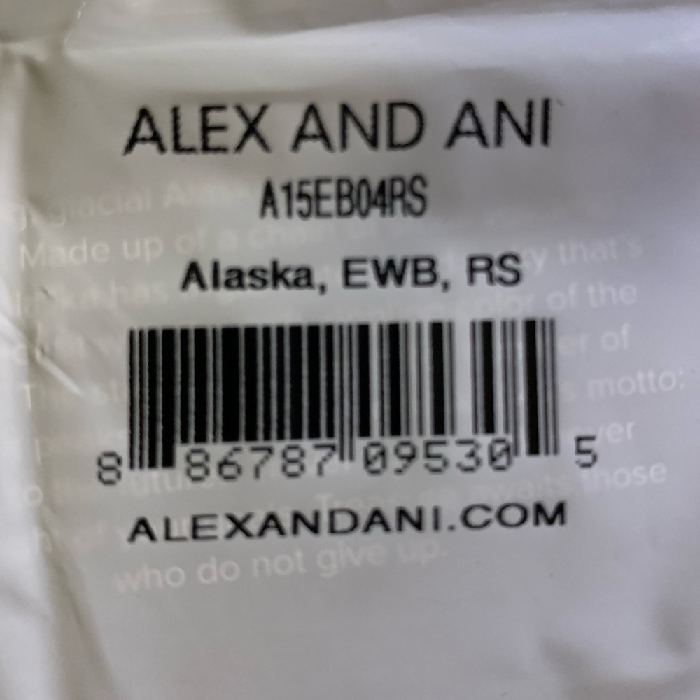 Alex and Ani Silver Alaska Whale Charm Bracelet - Picture 2 of 4
